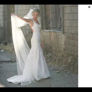 Chapel/Cathedral length white/ivory veil soft